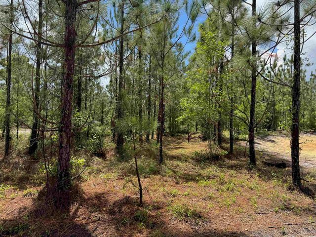 1698 Carriage Dr., Loris, SC 29569