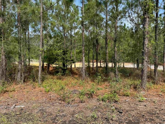 1698 Carriage Dr., Loris, SC 29569