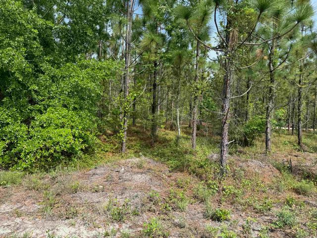 1698 Carriage Dr., Loris, SC 29569
