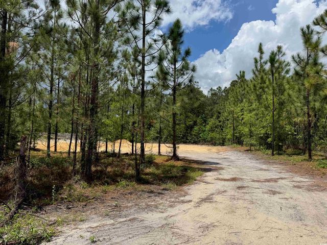 1698 Carriage Dr., Loris, SC 29569