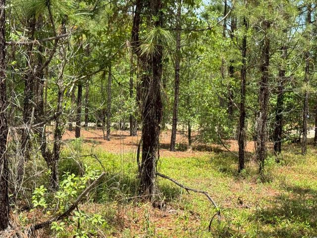 1698 Carriage Dr., Loris, SC 29569