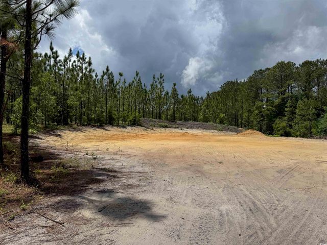 1698 Carriage Dr., Loris, SC 29569
