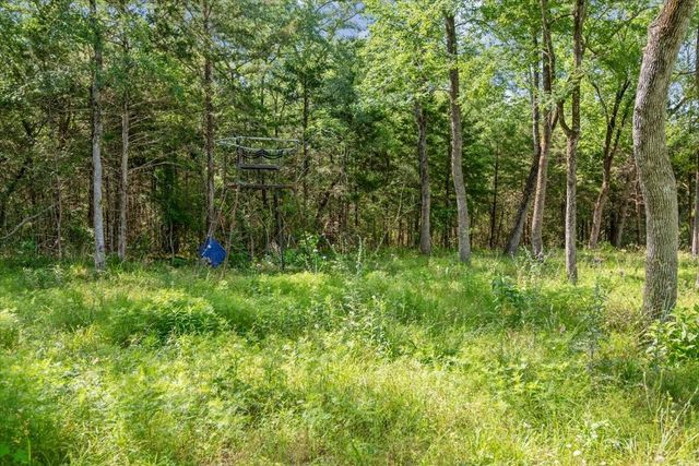 3801 County Road 447, Anderson, TX 77830