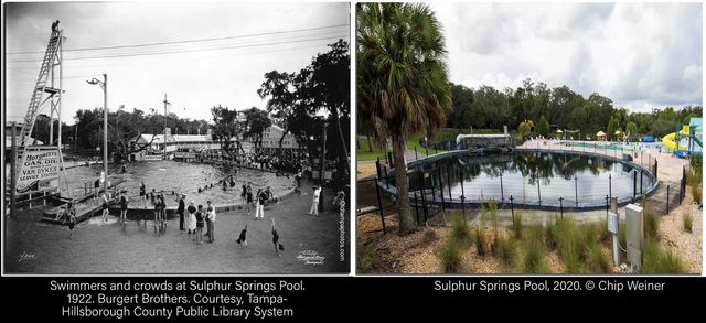 1705 E NOME STREET, Tampa, FL 33604