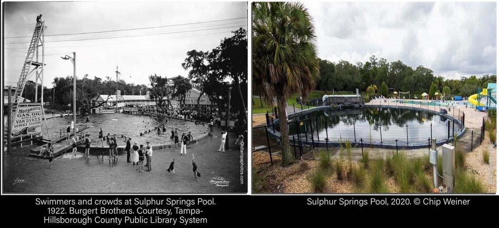 Image 4 of property listing at 1705 E NOME STREET, Tampa, FL 33604