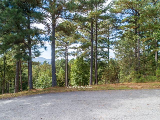 Lot 14 Mile High Lane, Blairsville, GA 30512