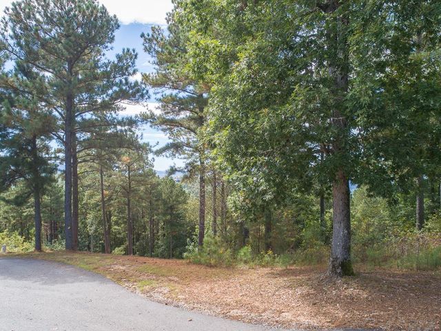 Lot 14 Mile High Lane, Blairsville, GA 30512