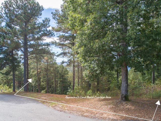 Lot 14 Mile High Lane, Blairsville, GA 30512