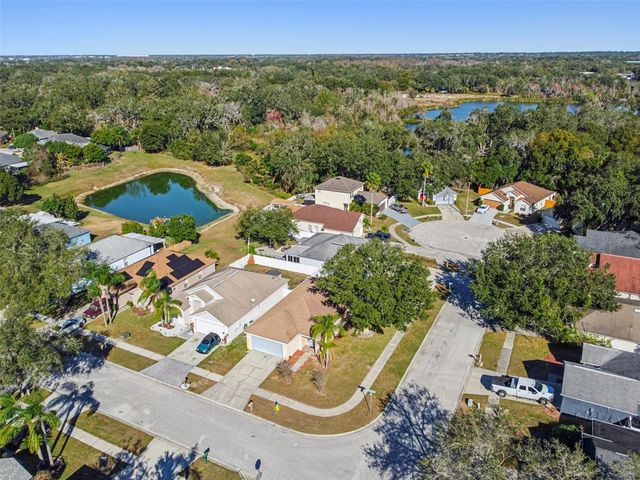 11022 CONNACHT WAY, Tampa, FL 33610