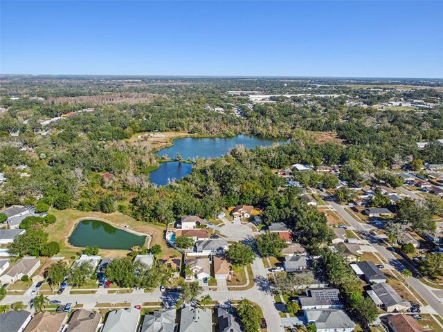 11022 CONNACHT WAY, Tampa, FL 33610