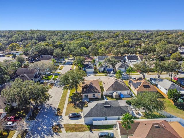 11022 CONNACHT WAY, Tampa, FL 33610