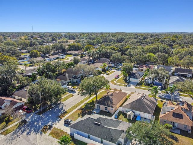 11022 CONNACHT WAY, Tampa, FL 33610