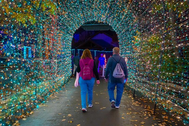 250 Berry Drive Apt A7, Branson, MO 65616