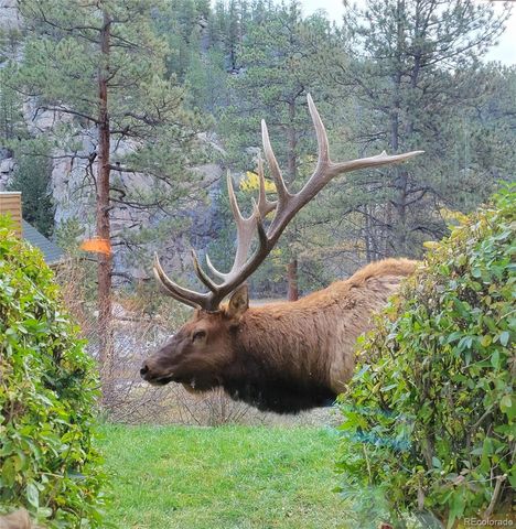 148 Big Pine Lane, Drake, CO 80515