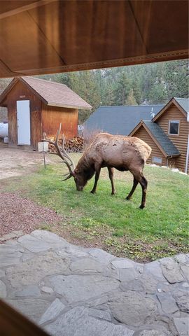 148 Big Pine Lane, Drake, CO 80515