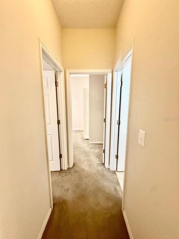 209 CORVINA DRIVE, Davenport, FL 33897