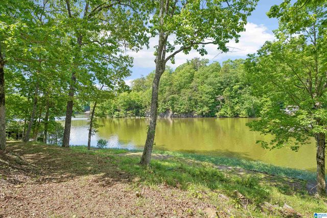 135 SUNSET BOULEVARD, Oneonta, AL 35121