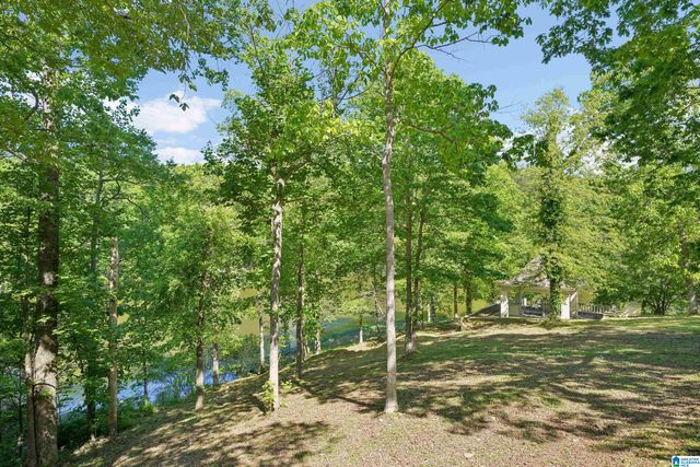 135 SUNSET BOULEVARD, Oneonta, AL 35121