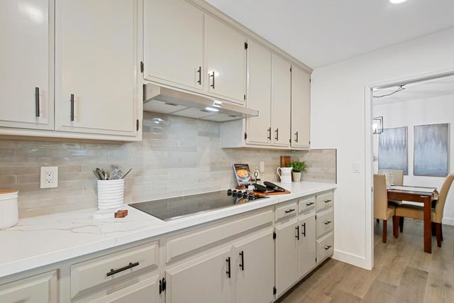 1013 Plum Ln, Davis, CA 95616