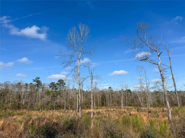 11111 E Us Hwy 190, Jasper, TX 75951