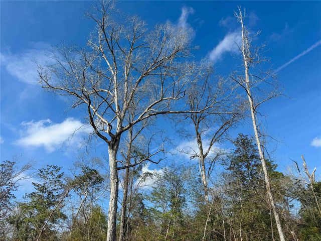 11111 E Us Hwy 190, Jasper, TX 75951