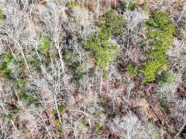 11111 E Us Hwy 190, Jasper, TX 75951