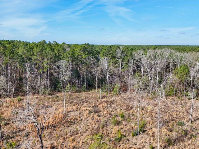 11111 E Us Hwy 190, Jasper, TX 75951