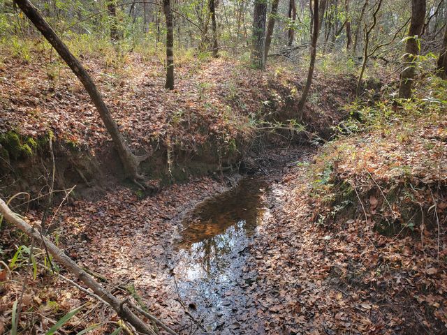 11111 E Us Hwy 190, Jasper, TX 75951