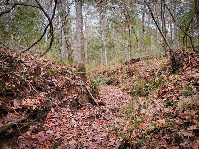 11111 E Us Hwy 190, Jasper, TX 75951