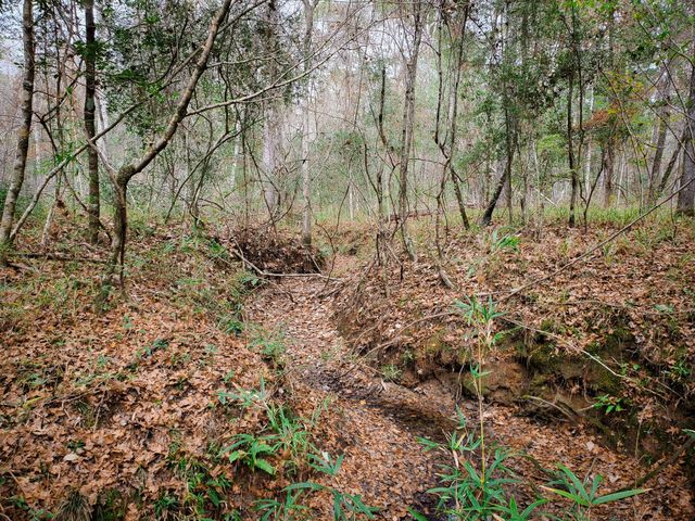 11111 E Us Hwy 190, Jasper, TX 75951