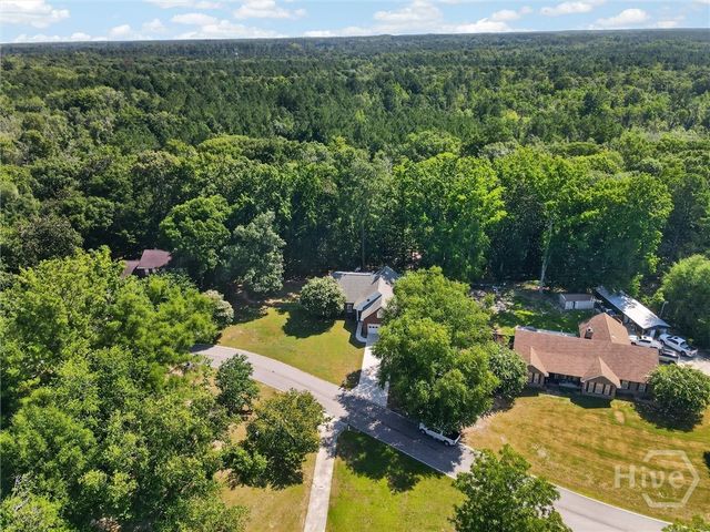 179 Hawk Hammock Drive, Springfield, GA 31329