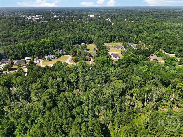 179 Hawk Hammock Drive, Springfield, GA 31329