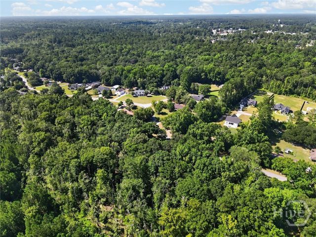 179 Hawk Hammock Drive, Springfield, GA 31329
