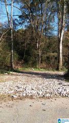 9603 MARSHALL AVENUE, Birmingham, AL 35217