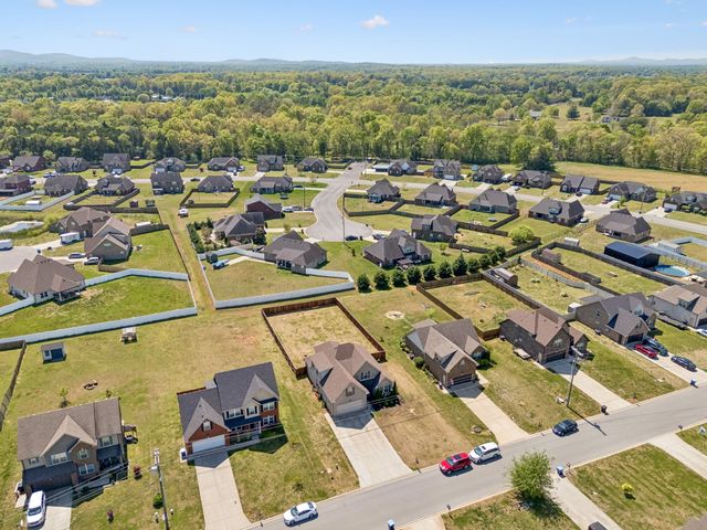 2928 Ronstadt Dr, Christiana, TN 37037