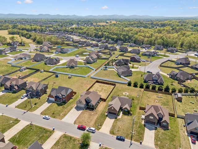2928 Ronstadt Dr, Christiana, TN 37037