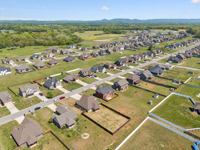 2928 Ronstadt Dr, Christiana, TN 37037