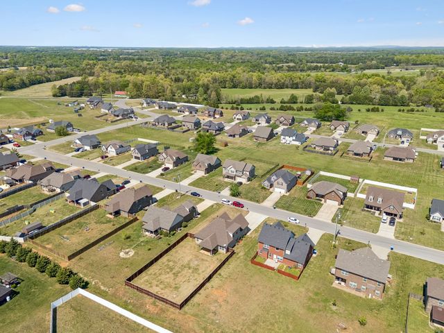 2928 Ronstadt Dr, Christiana, TN 37037