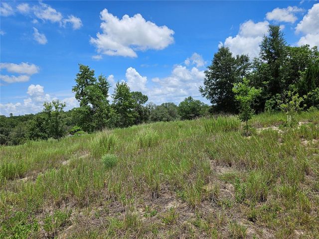 3814 W RANCETTA STREET, Dunnellon, FL 34433