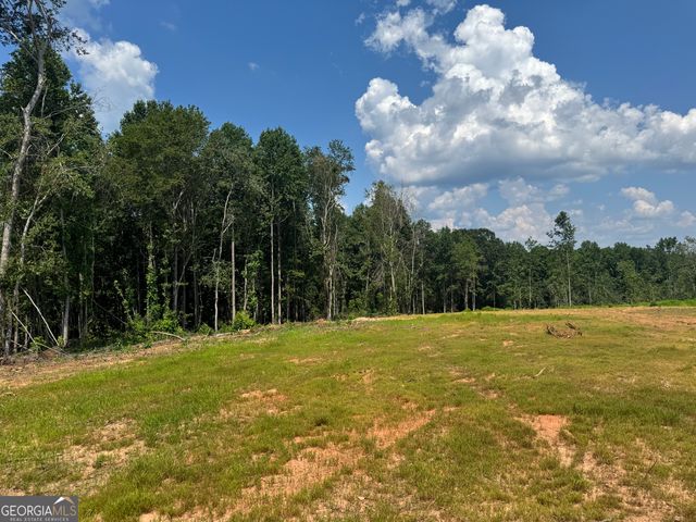 LOT 4 Happy Hollow Road, Roopville, GA 30170