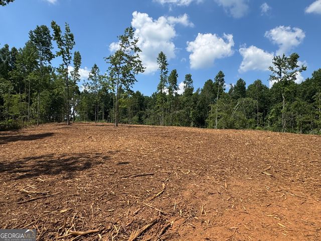 LOT 4 Happy Hollow Road, Roopville, GA 30170