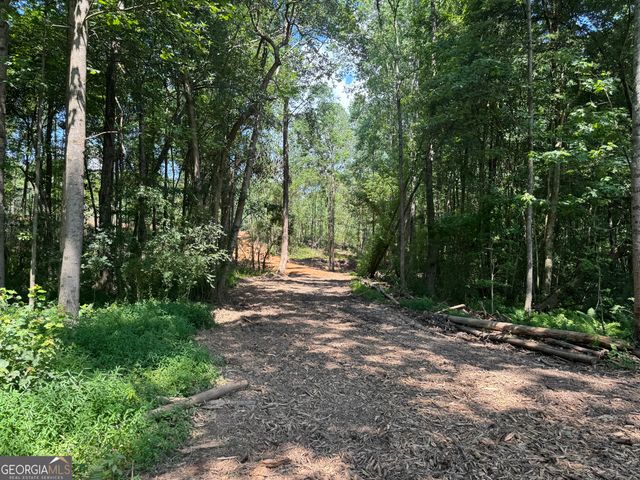 LOT 4 Happy Hollow Road, Roopville, GA 30170