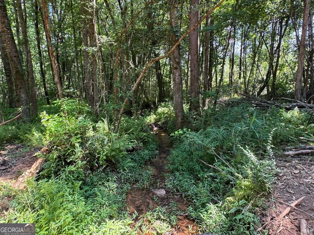 LOT 4 Happy Hollow Road, Roopville, GA 30170