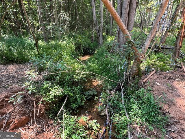LOT 4 Happy Hollow Road, Roopville, GA 30170