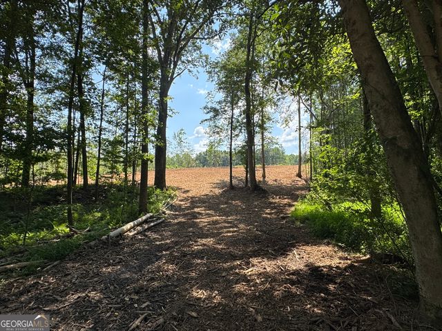 LOT 4 Happy Hollow Road, Roopville, GA 30170