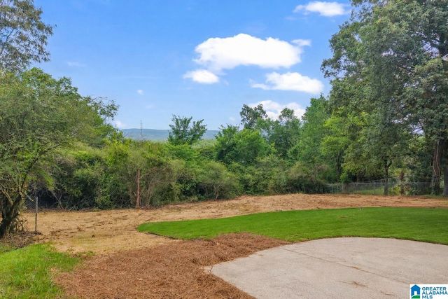 135 SHADES CREST ROAD, Hoover, AL 35226