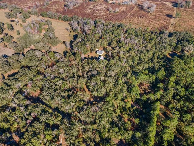 14600 NW 216TH PLACE, Micanopy, FL 32667