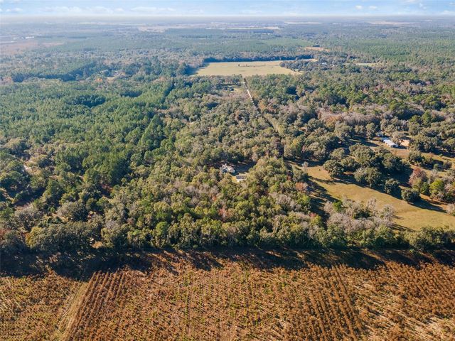 14600 NW 216TH PLACE, Micanopy, FL 32667