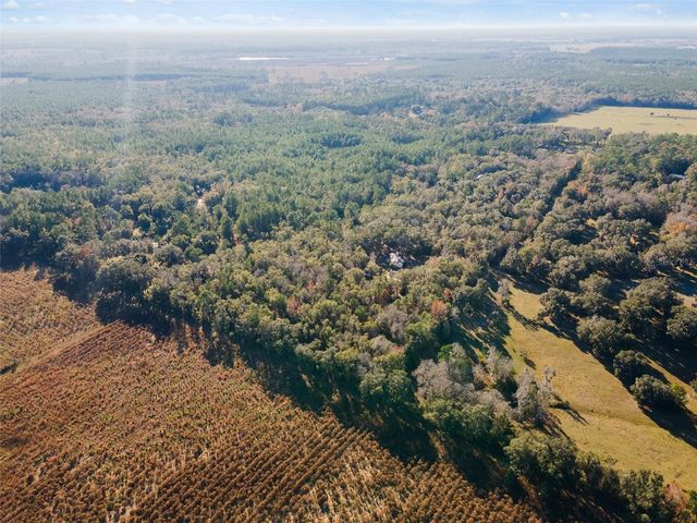 14600 NW 216TH PLACE, Micanopy, FL 32667