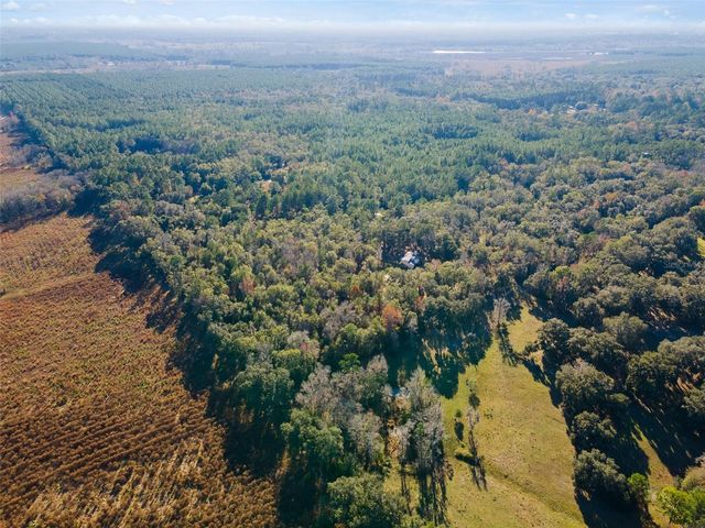 14600 NW 216TH PLACE, Micanopy, FL 32667